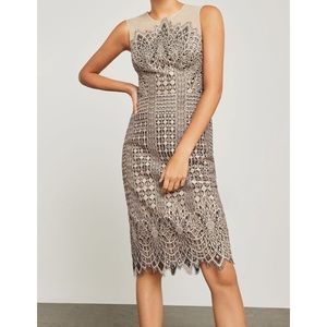 BCBG Belila Lace Dress